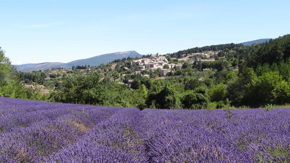 Rêve de Provence Apartamento Saint-Saturnin-d'Apt Exterior foto